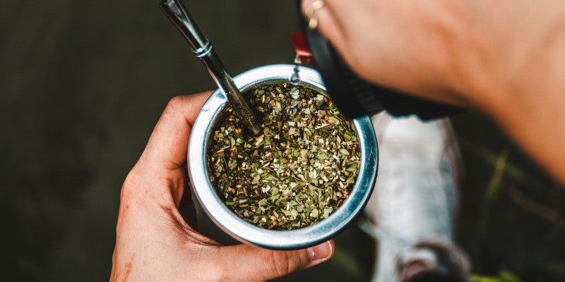 Goût du maté : Tout savoir sur le goût du maté