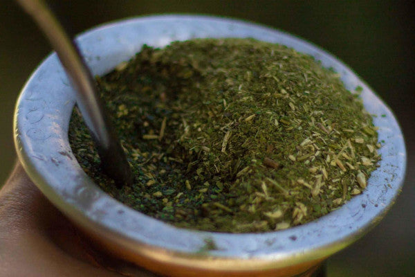 Le maté, antioxydant naturel par excellence