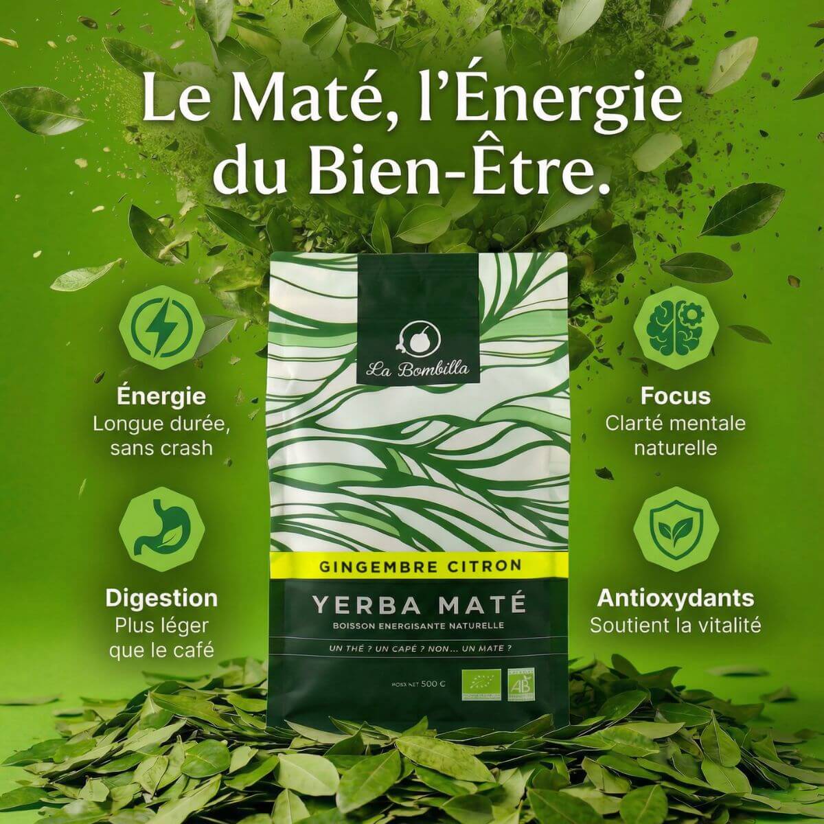 Maté Gingembre Citron BIO