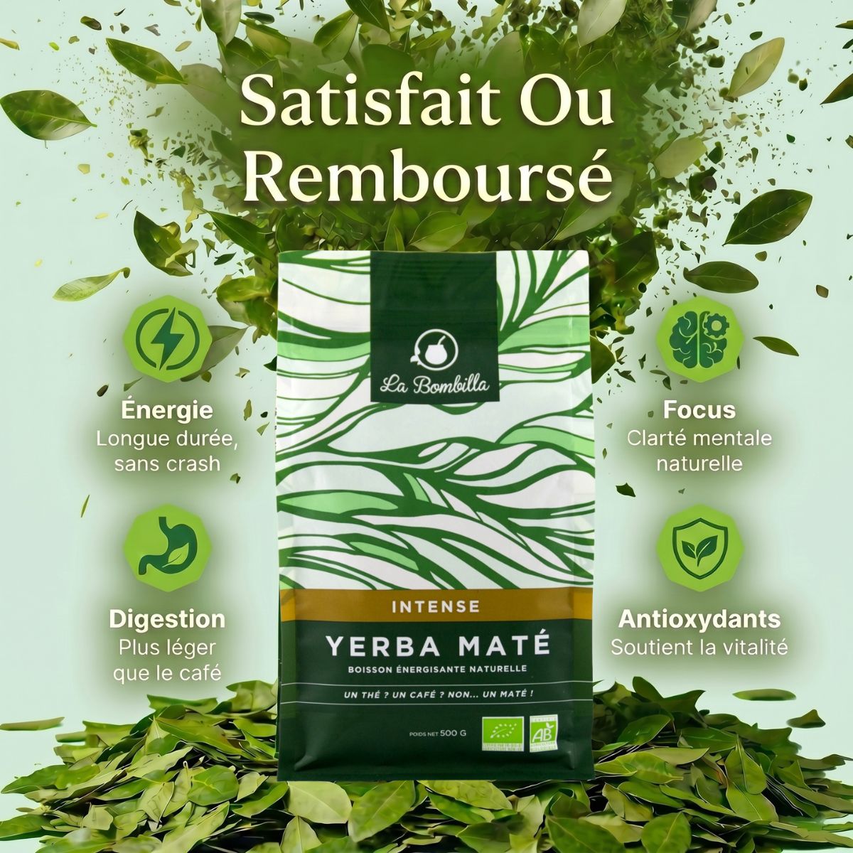 Maté Affiné 24 mois BIO