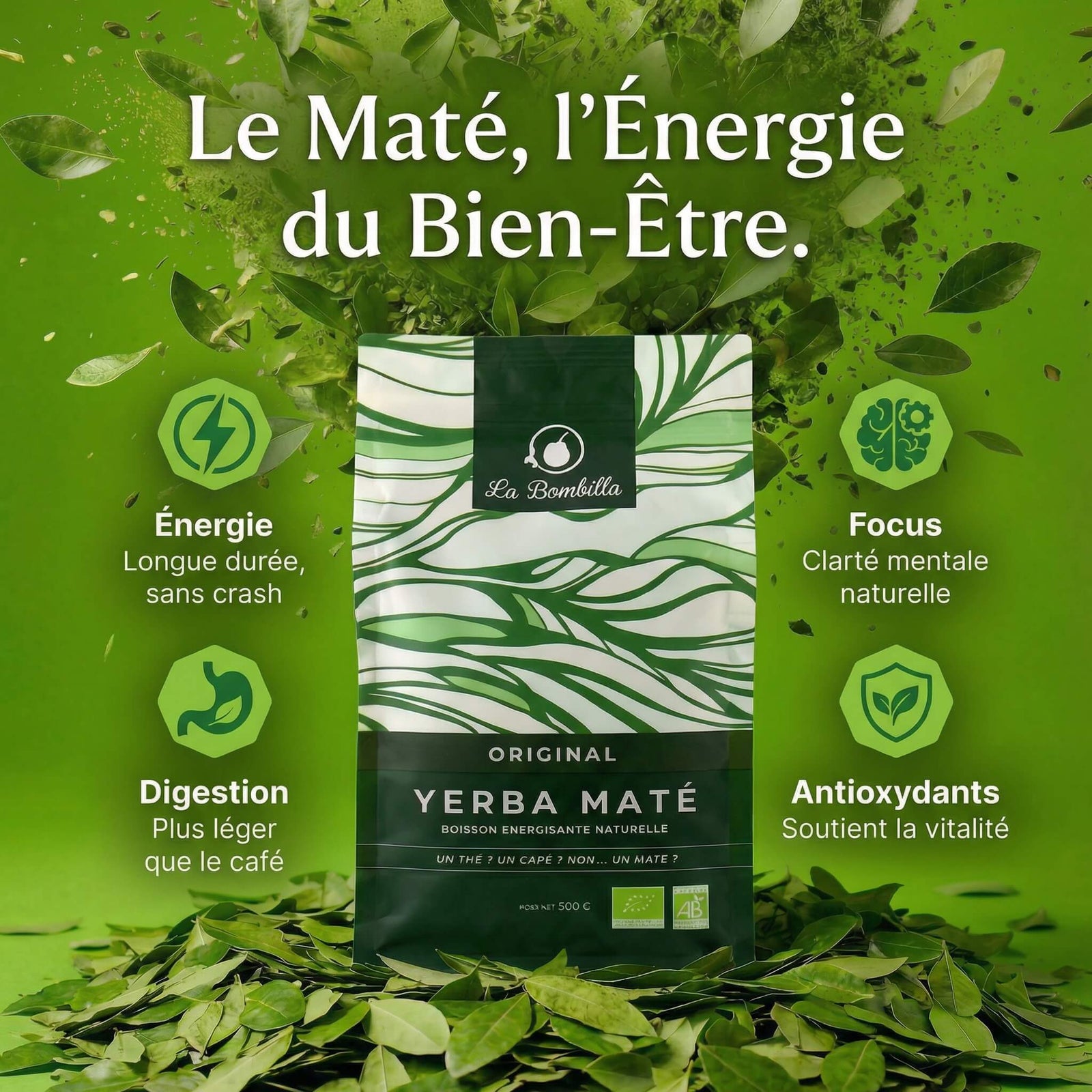 Maté vert